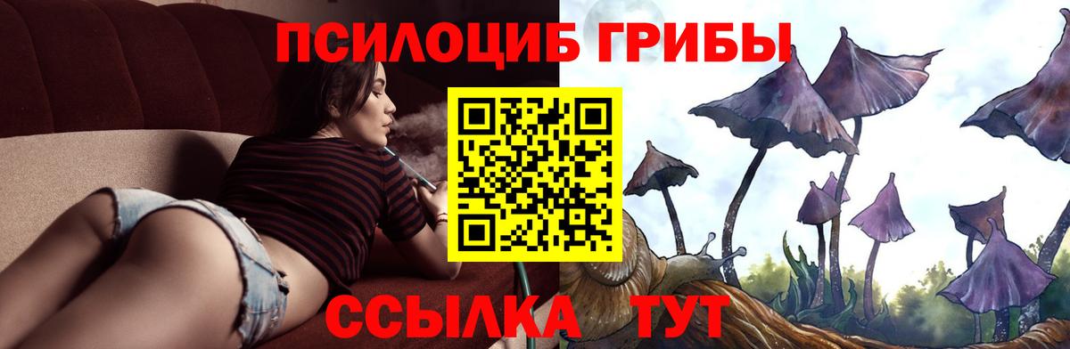 Жигулёвск  Галлюциногенные грибы Psilocybine cubensis  Псилоцибиновые грибы Psilocybe  Вход с VPN 